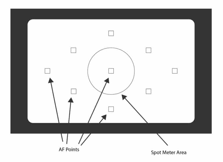 Understanding AutoFocus Institute of Photography