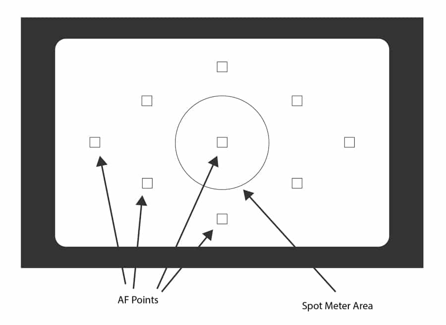 Understanding Autofocus Points