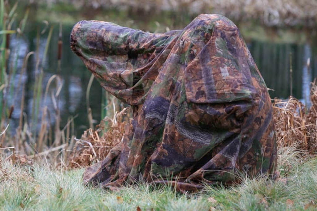 How to Build a Photography Hide  Wildlife photography, Photography,  Backyard birds