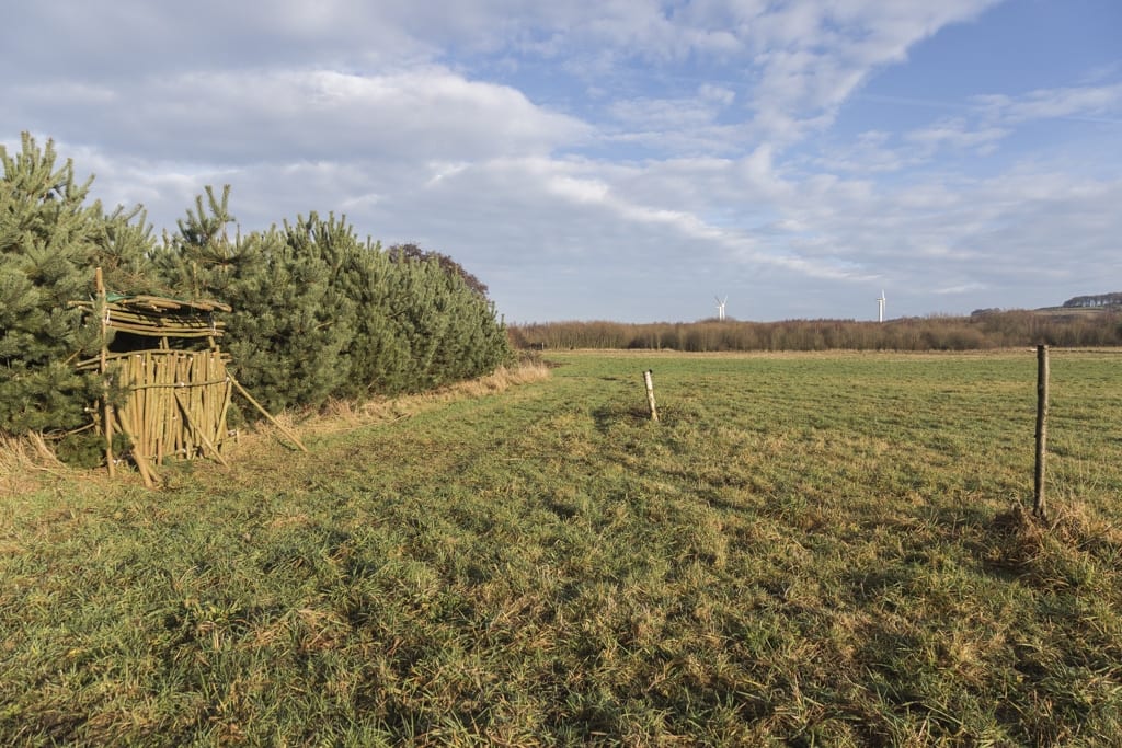 photograph4meadow