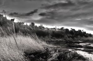 Tain shore - winter photography